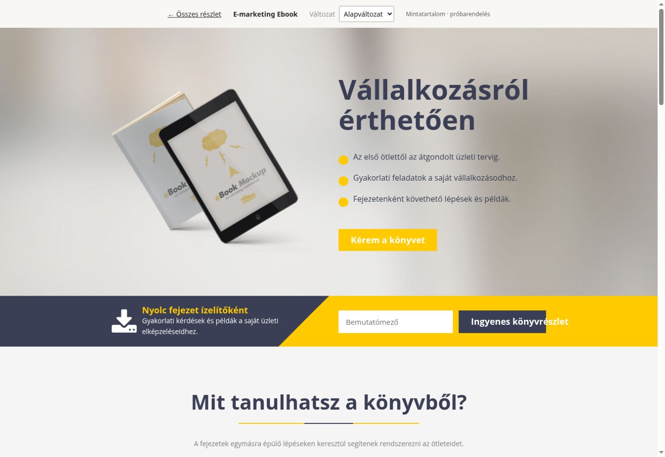 E-marketing Ebook – A teljes eredeti dizájn képernyőképe